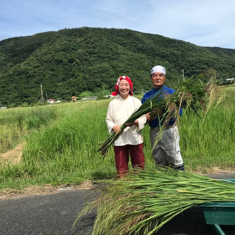 マコモダケ | STORES