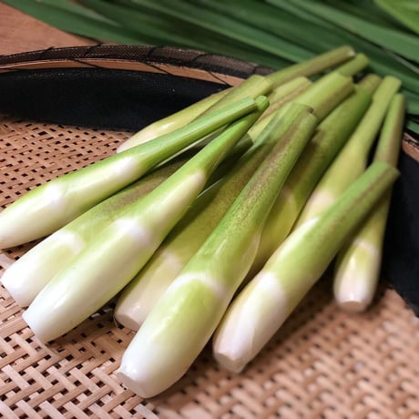 マコモダケ | STORES