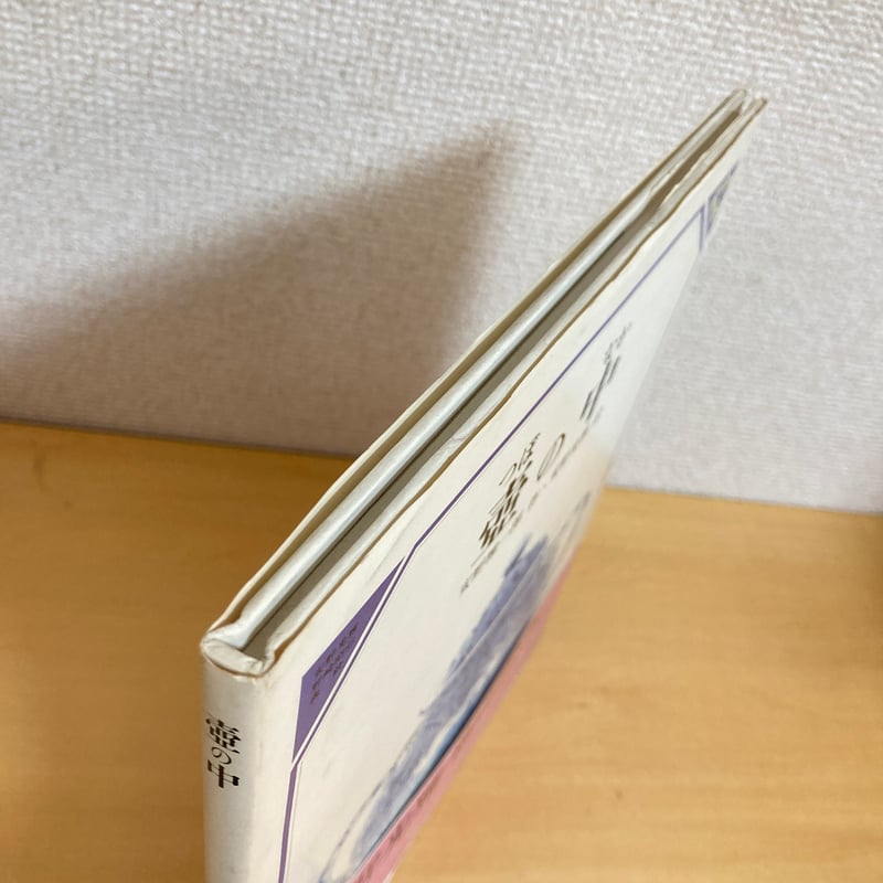 壺の中 美しい数学4 | まなみ古書店