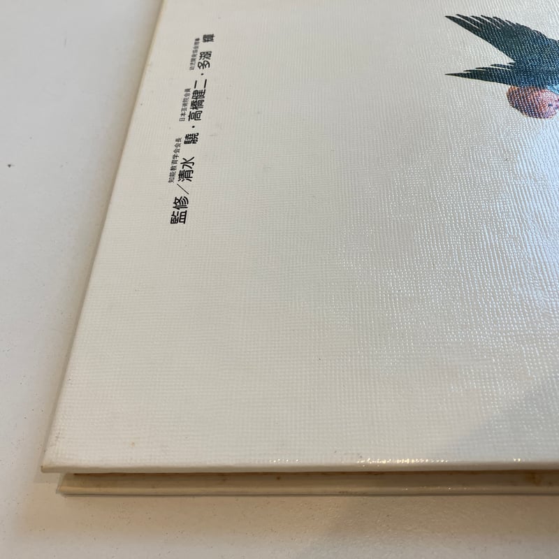 PICTURE LAND 25「マザーグース くつのいえ」 | まなみ古書店