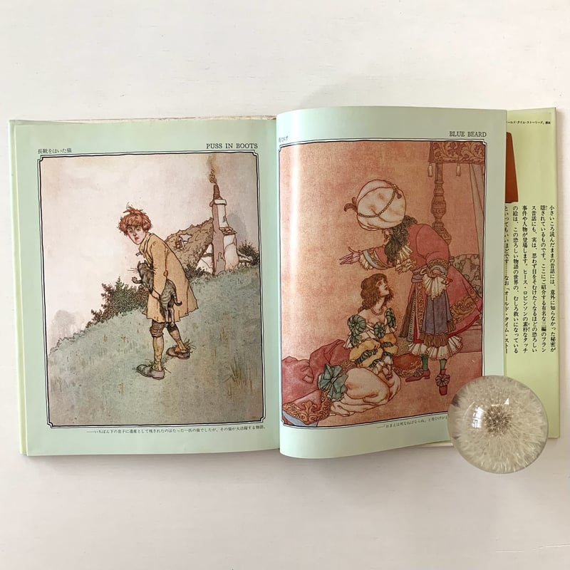 人気商品】 OLD AS 美女と野獣＊TALE AS アートブック TIME 洋書 