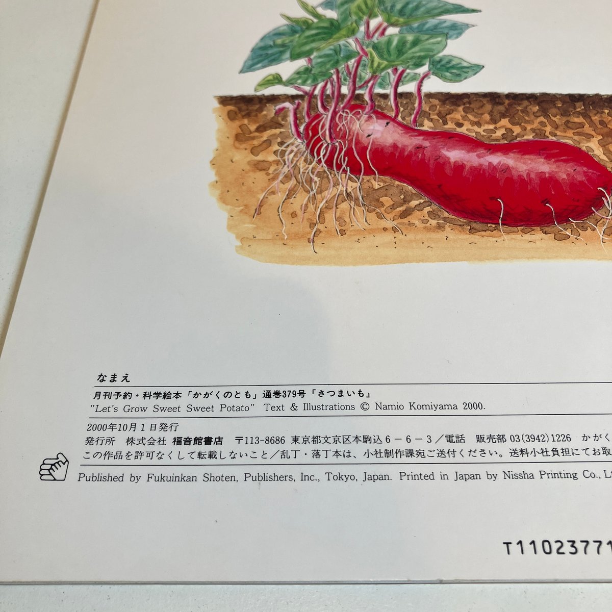 月刊かがくのとも379号「さつまいも」 | まなみ古書店