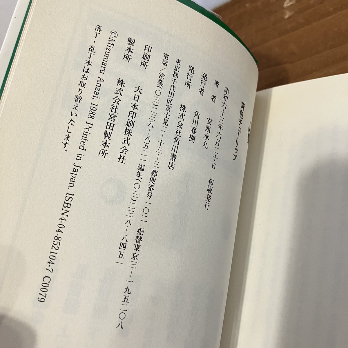 黄色チューリップ | まなみ古書店