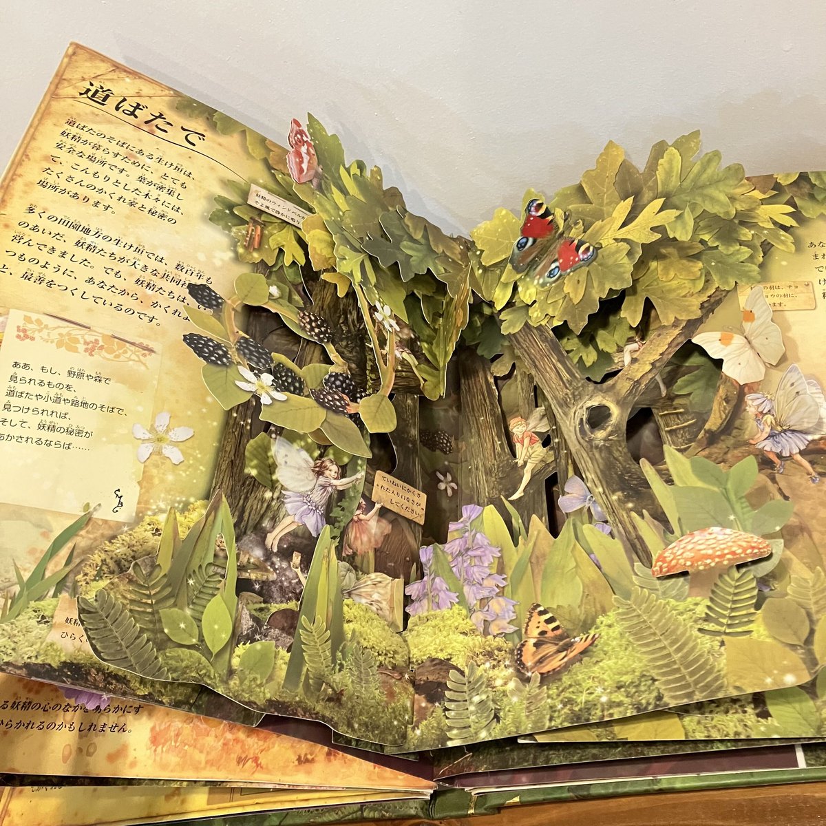 フラワー・フェアリーズのお話 とびだししかけえほん | まなみ古書店