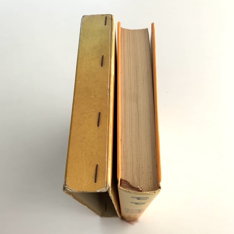 ももページ Amazon.co.jp: モモ（絵本版） : ミヒャエル・エンデ, シモーナ