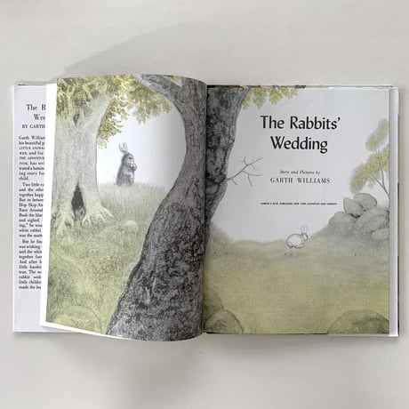 THE Rabbit's Wedding