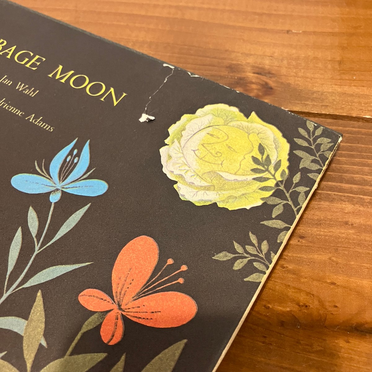 CABBAGE MOON | まなみ古書店