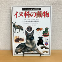 ビジュアル博物館 第32巻 イヌ科の動物 イヌ、オオカミ、ジャッカル、キツネ