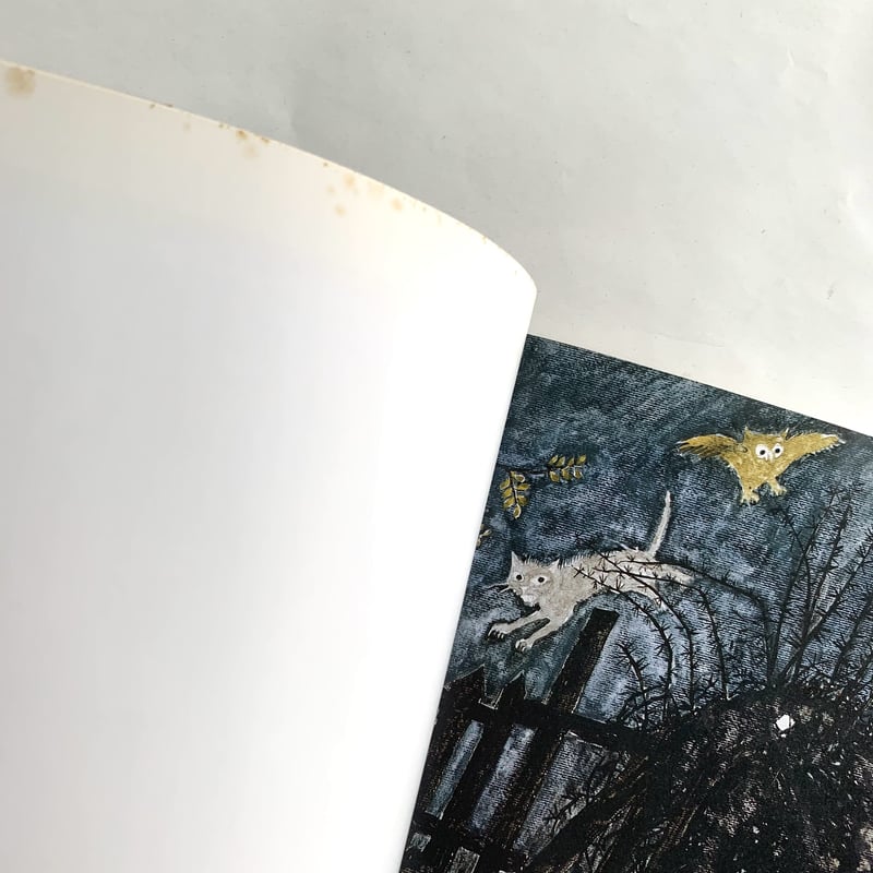 カリジェと安野光雅展図録 メルヘンの世界をたずねて | まなみ古書店