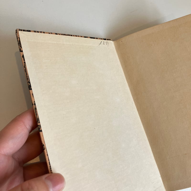 インゼル文庫 Nr.762 Barlacb im Gespracb | まなみ古書店