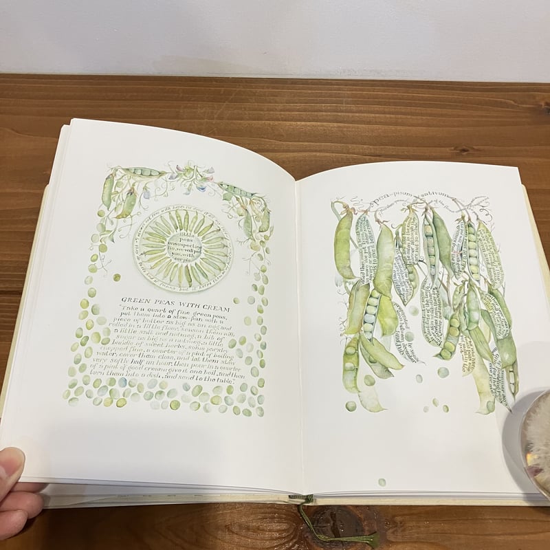 サラ・ミッダのガーデンスケッチ | まなみ古書店