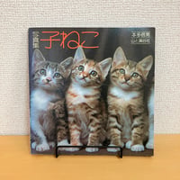 写真集 子ねこ