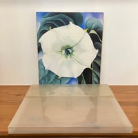 ちくま文学の森 全15巻揃＋別冊 | まなみ古書店