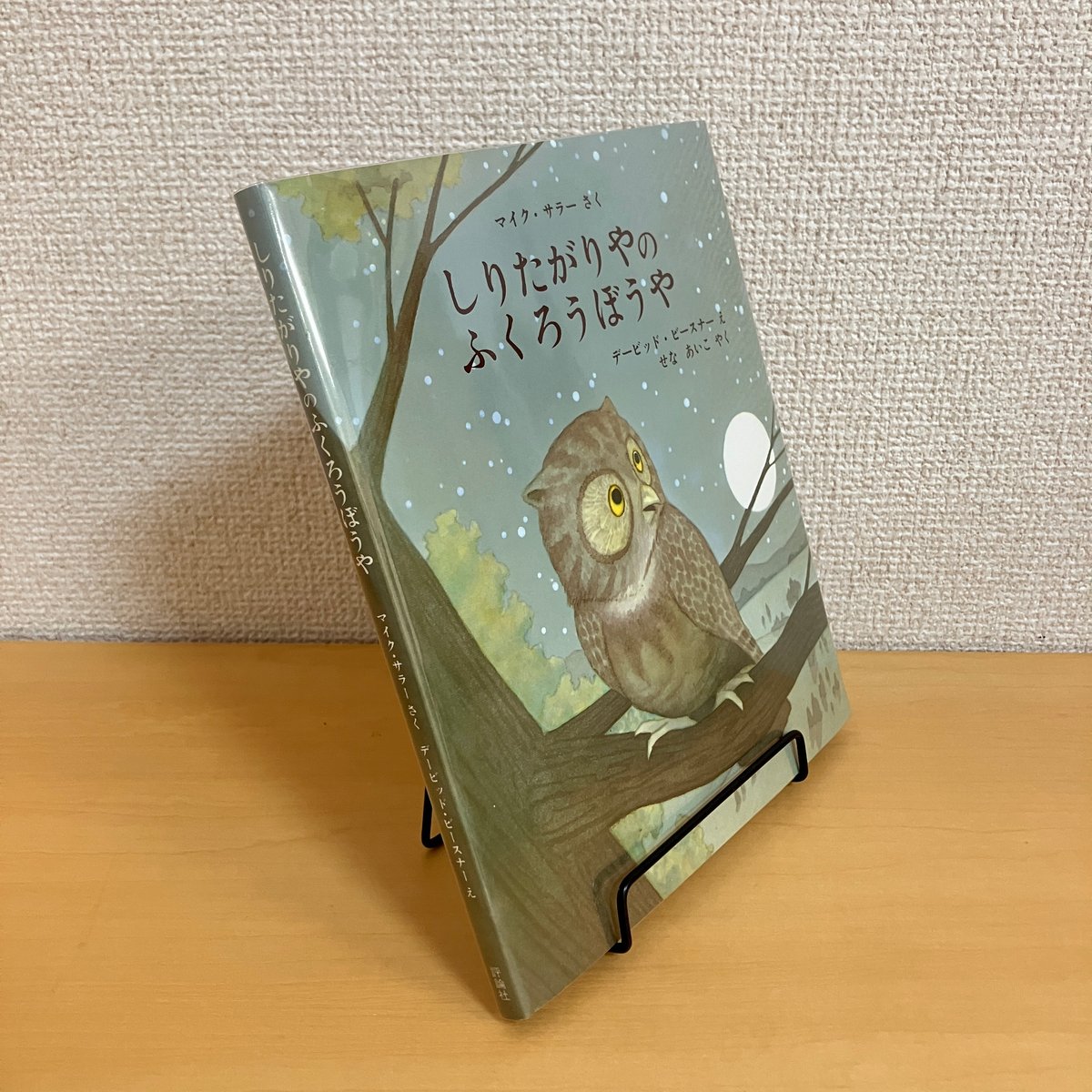 【☆星空の下おめめパッチリフクロウ坊や】 しりたがりやのふくろうぼうや | まなみ古書店