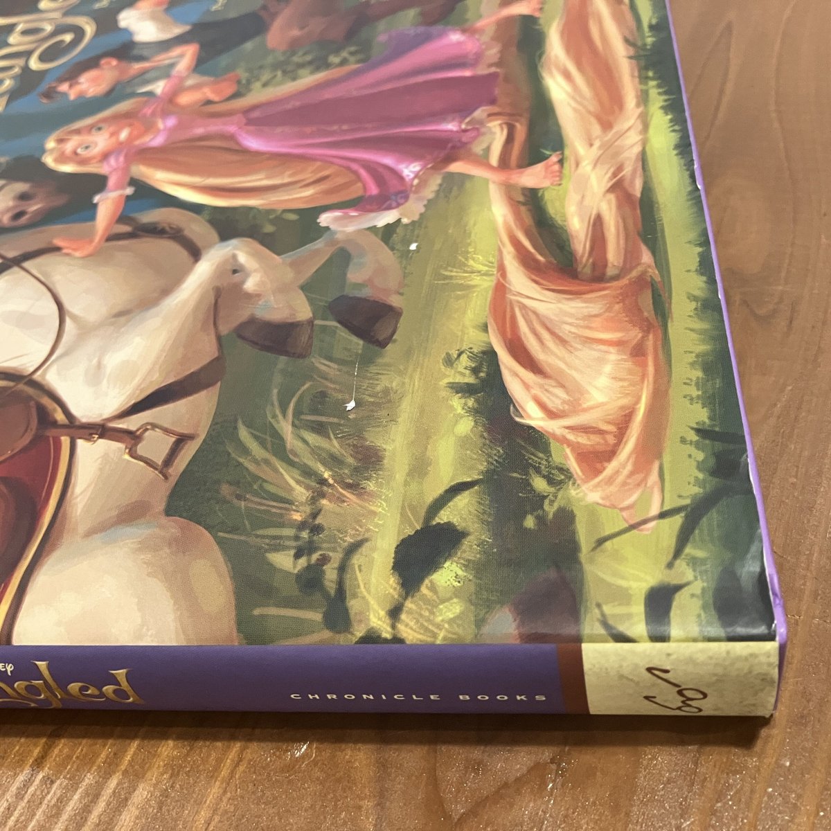 THE ART OF Tangled | まなみ古書店