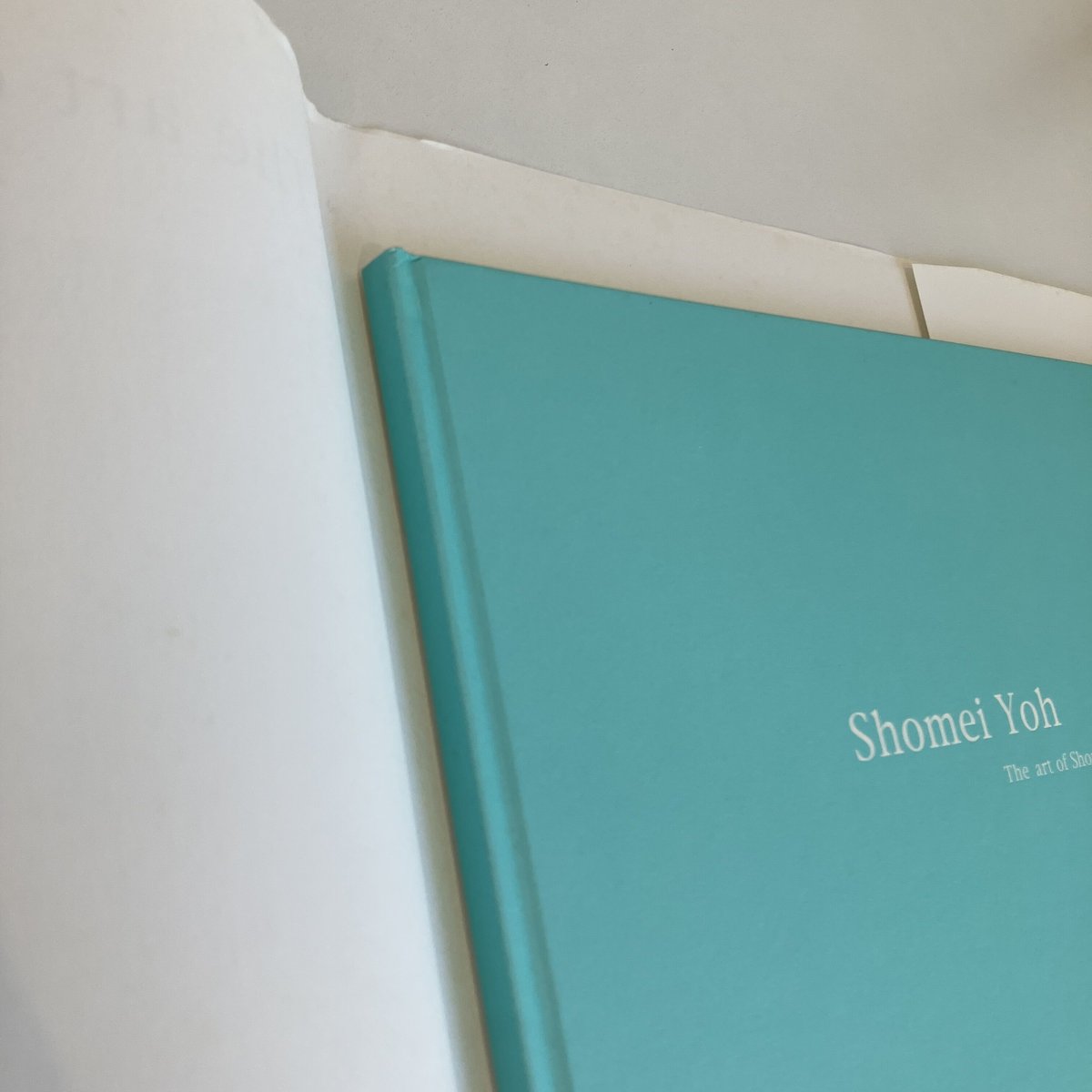 The art of Shomei Yoh 葉祥明画集 | まなみ古書店
