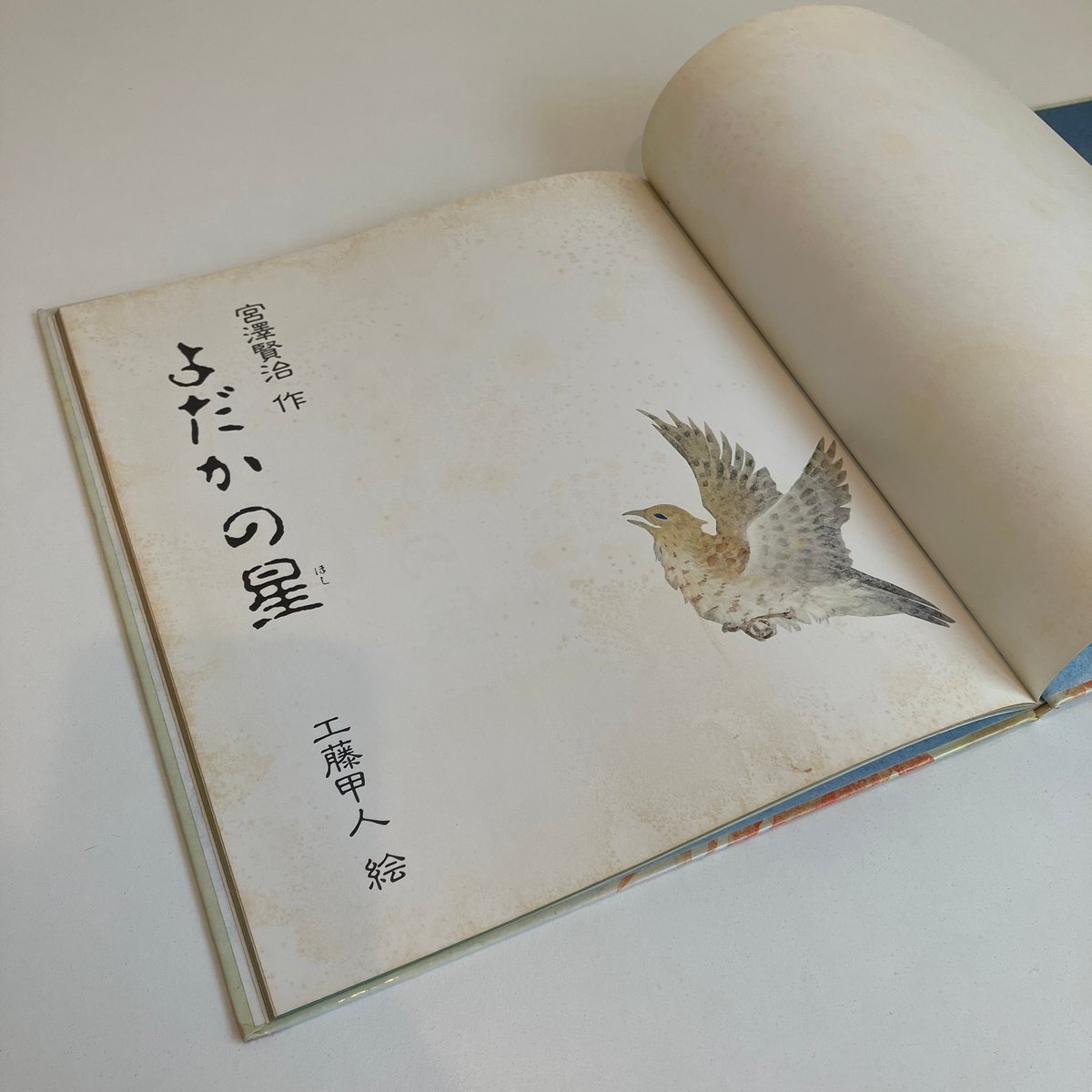 よだかの星 | まなみ古書店