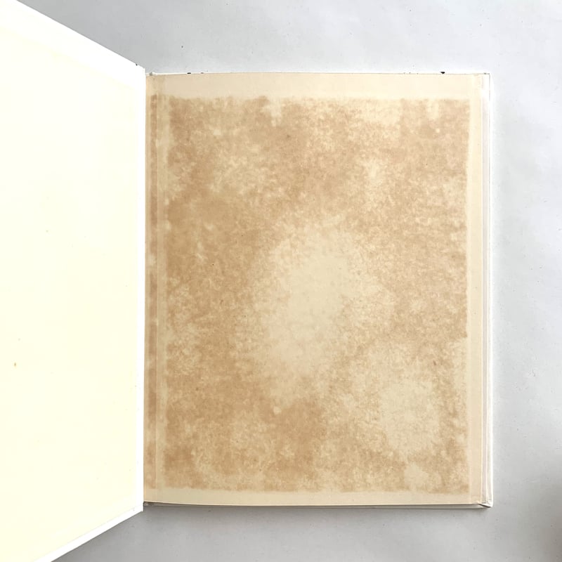 Let's Find Out About the UNITED NATIONS | まなみ古書店