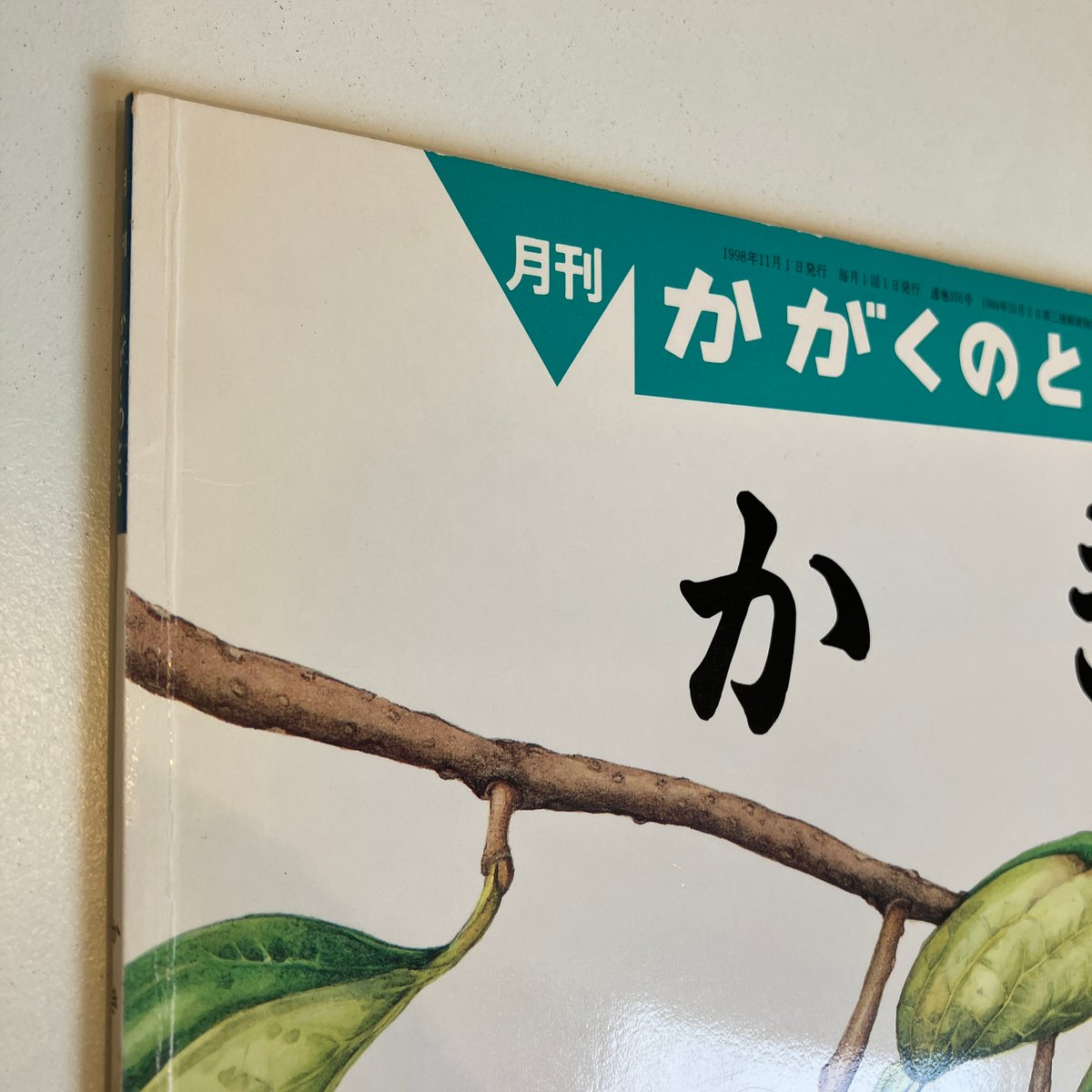 月刊かがくのとも356号「かき」 | まなみ古書店