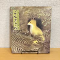 ごんぎつね 日本の童話名作選