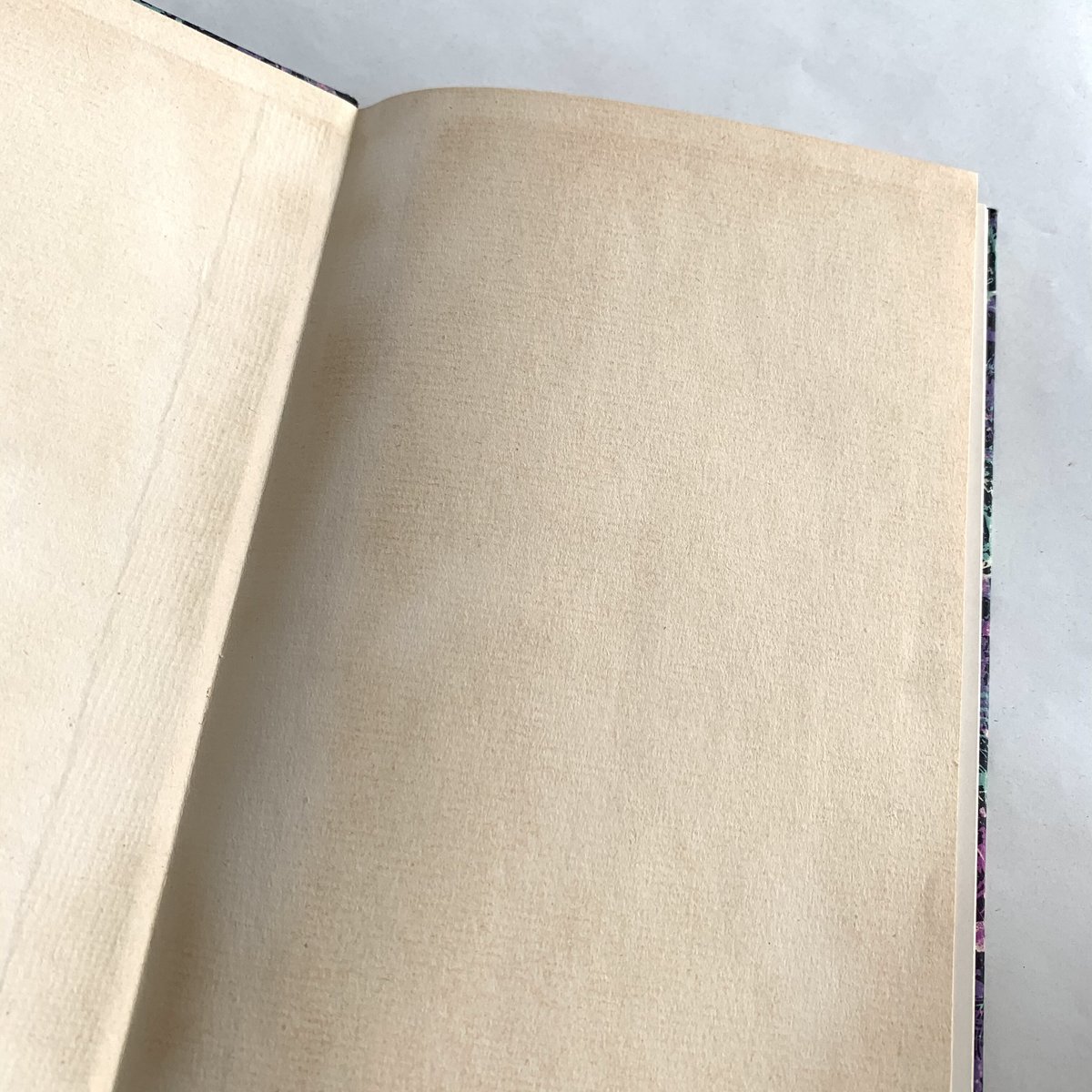 インゼル文庫】Nr.25WILHELM BUSCH Bilderpossen Wilhelm Busch