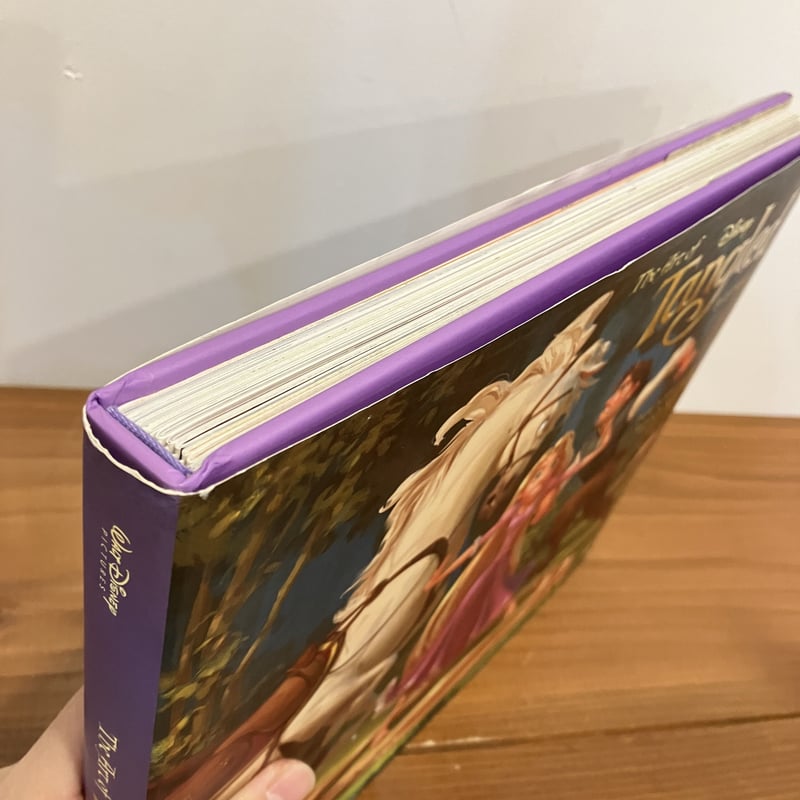 THE ART OF Tangled | まなみ古書店