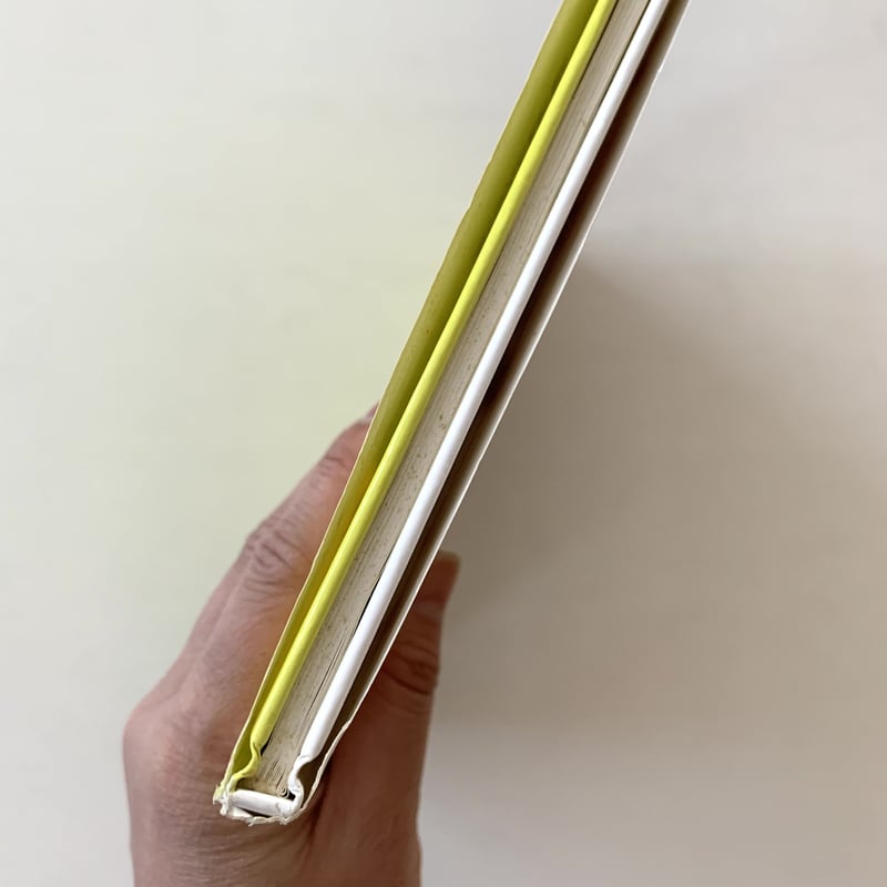 チャーリー・ブラウンなぜなんだい？ーともだちが重い病気になったとき