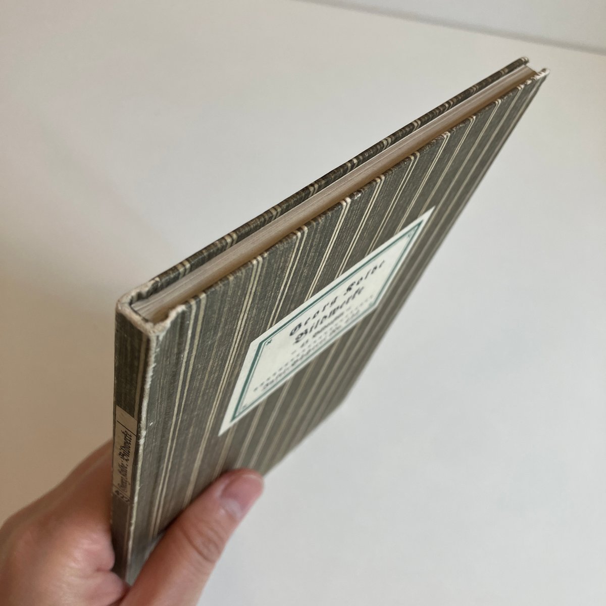 【インゼル文庫】Nr.25WILHELM BUSCH Bilderpossen ドイツ インゼル文庫「Das kleine Baumbuch」No.316 （樹木図鑑