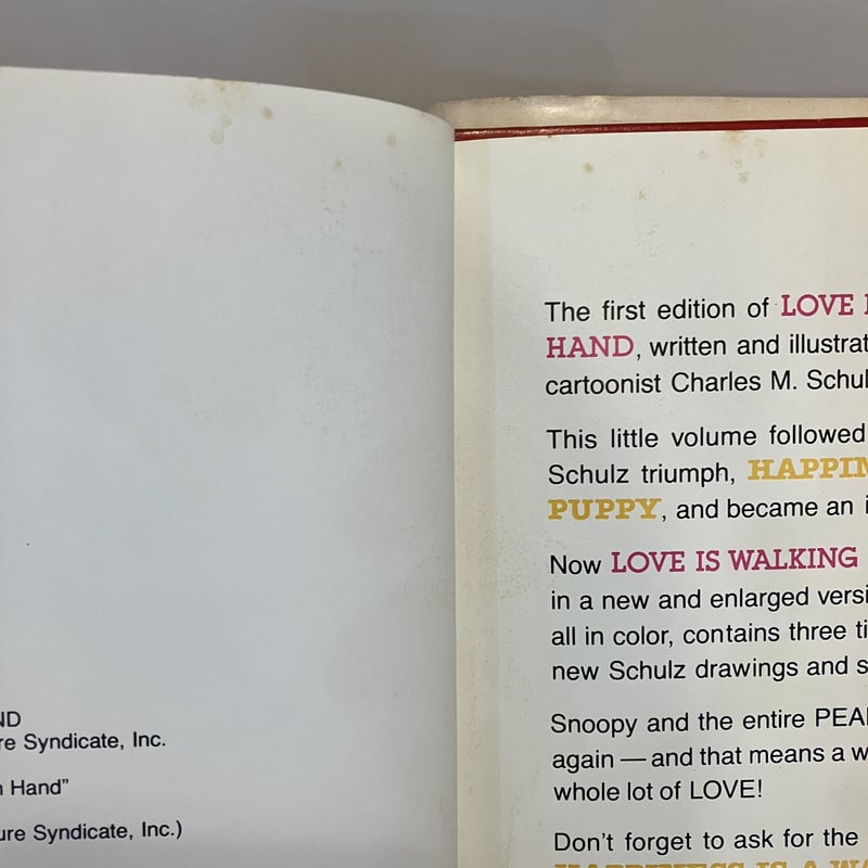 LOVE ISWALKING HAND-IN-HAND(大好きって手をつないで歩くこと)