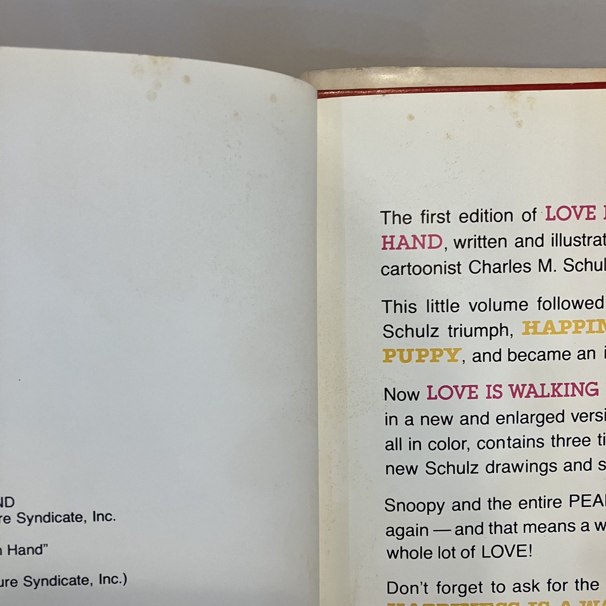 LOVE ISWALKING HAND-IN-HAND(大好きって手をつないで歩くこと)