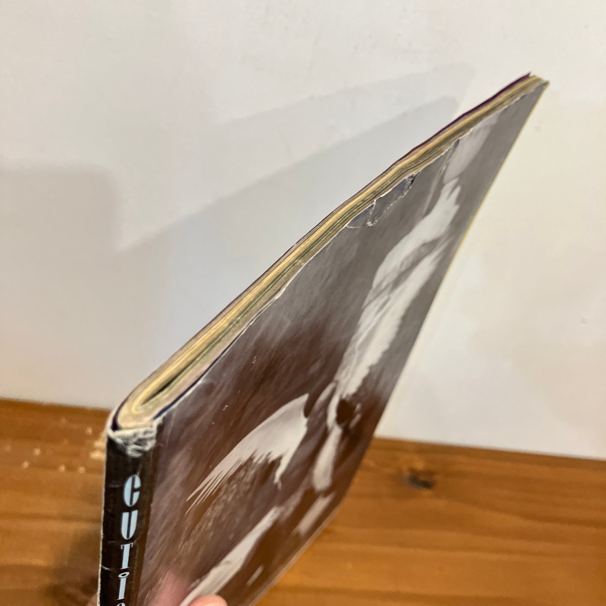 CUTiE 1990年8月号 | まなみ古書店