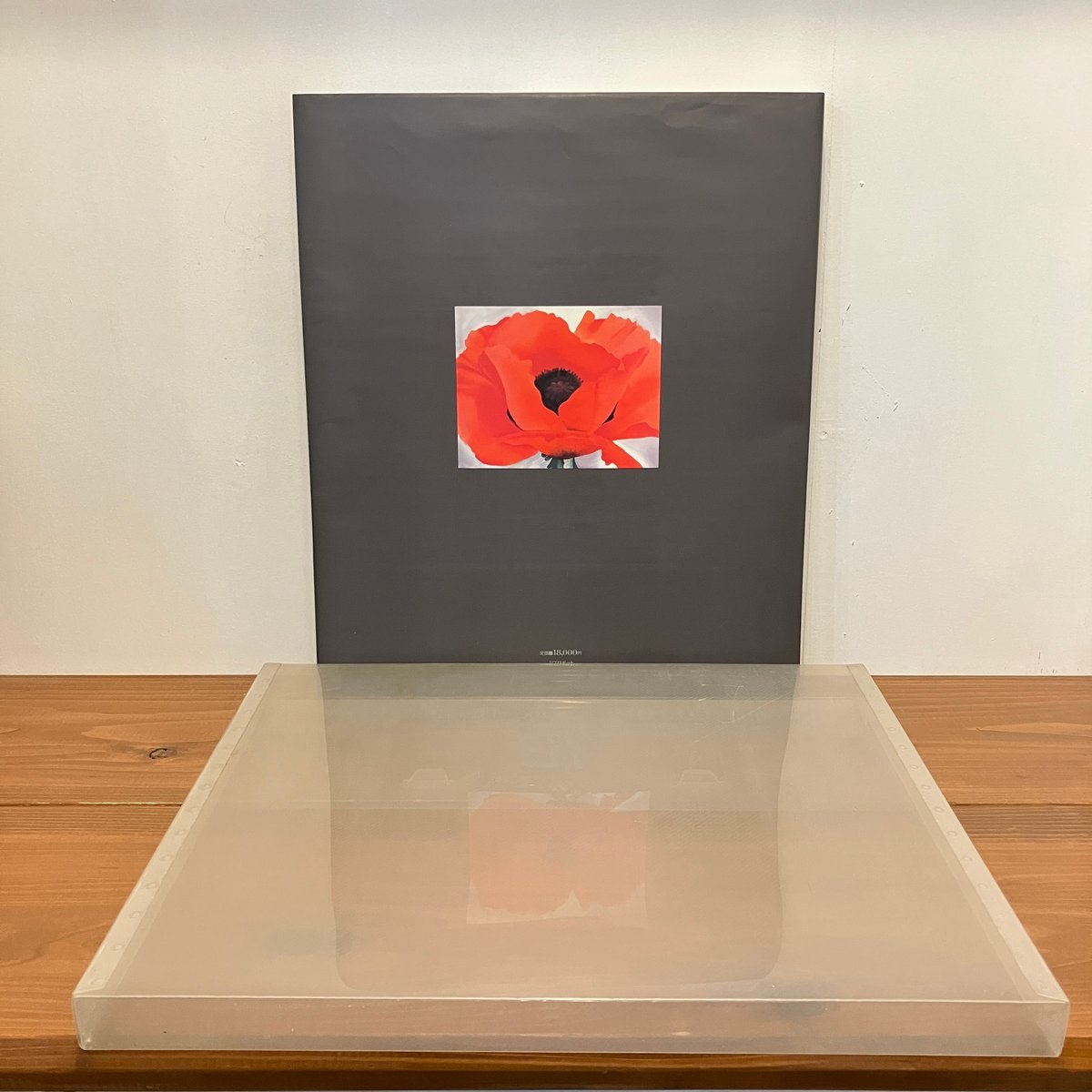 ジョージア・オキーフ画集「花」 | まなみ古書店