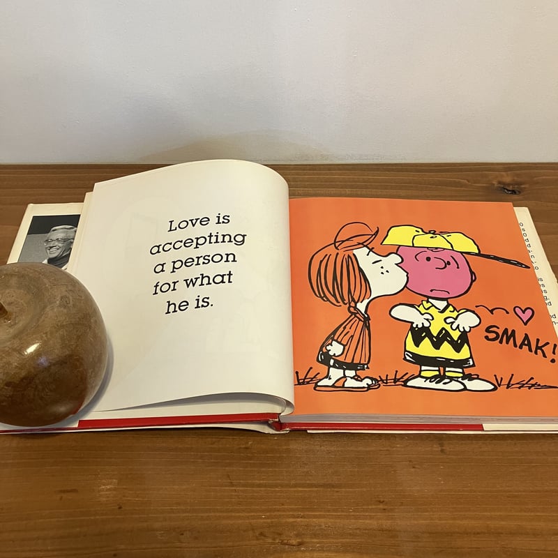 LOVE ISWALKING HAND-IN-HAND(大好きって手をつないで歩くこと)