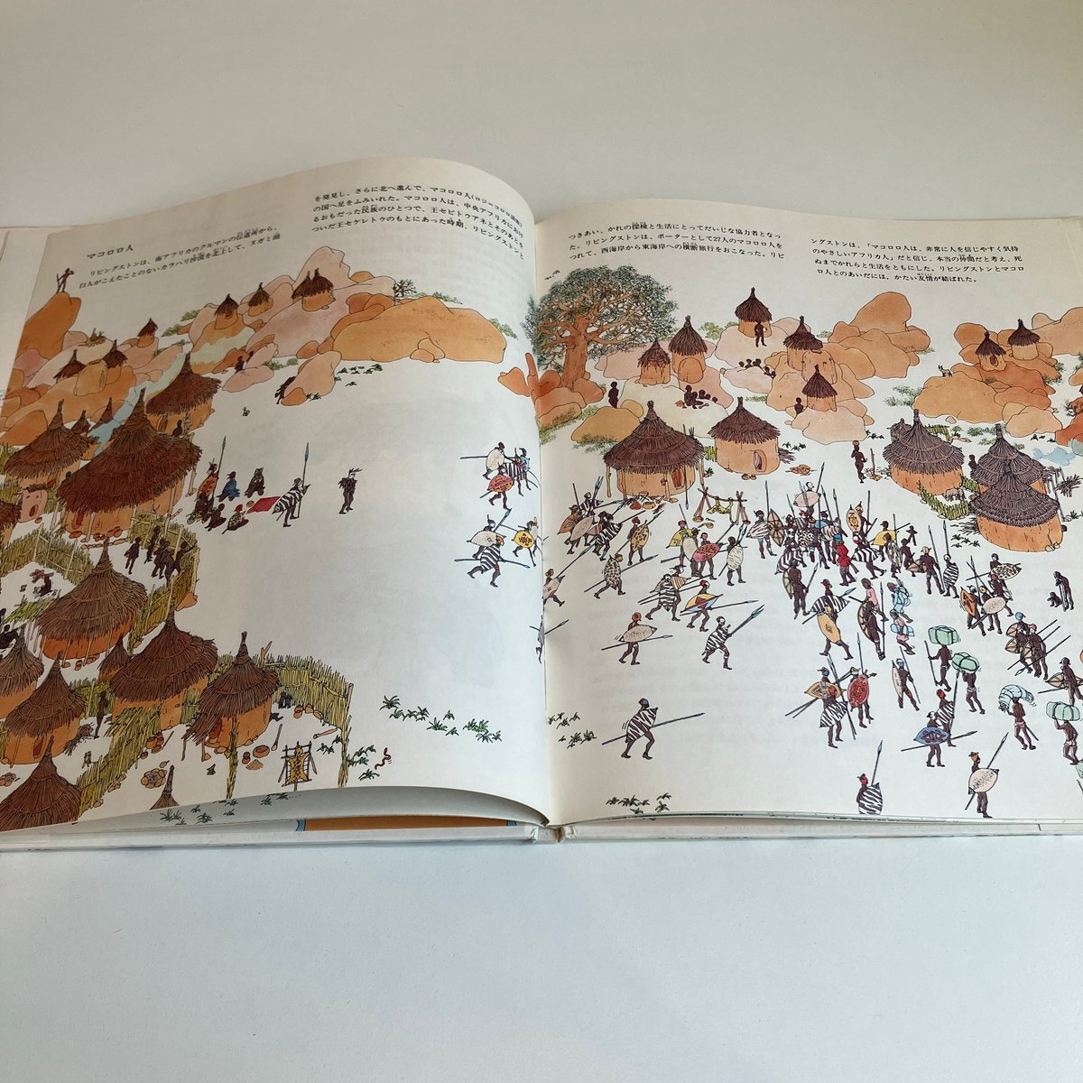 探険と航海シリーズ リビングストンの探険 | まなみ古書店