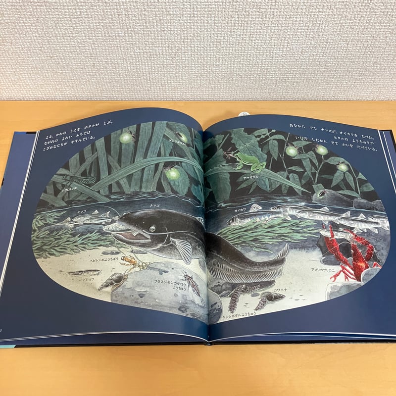 かがくのとも絵本 よるになると | まなみ古書店