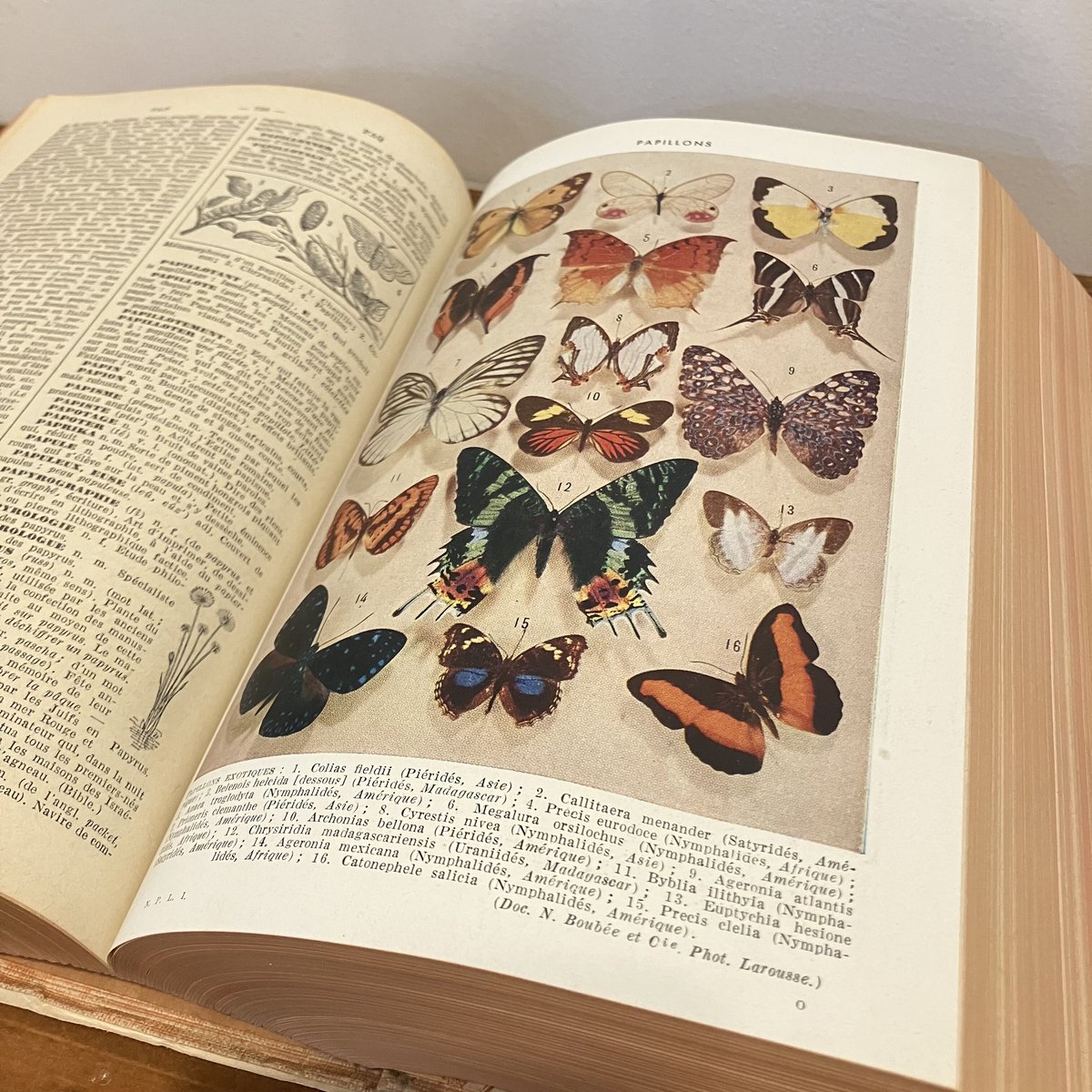 古書　Petit Larousse 1966 フランス語　百科辞典 Vintage French Dictionary Nouveau Petit Larousse Illustre