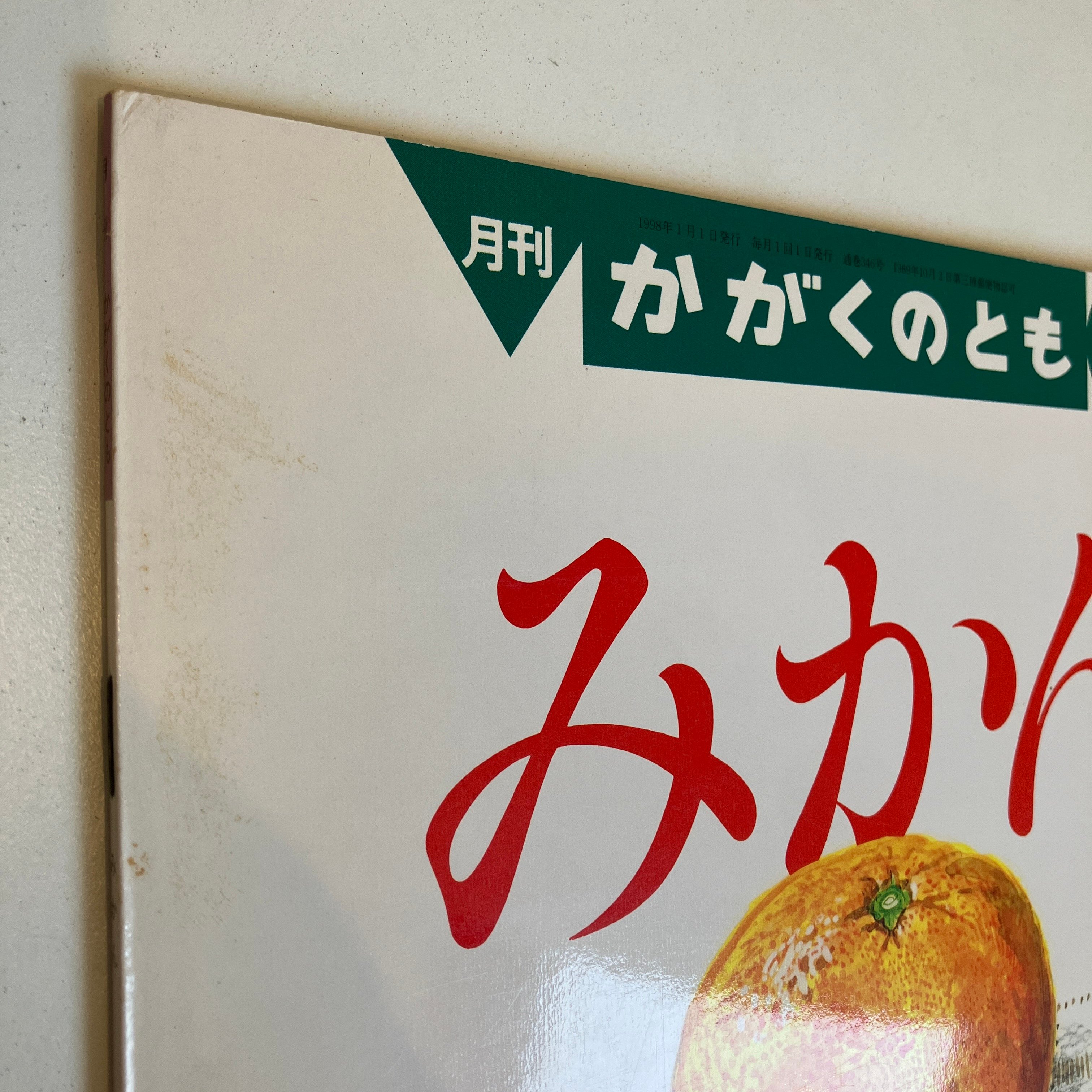 くるみかん6冊 月刊かがくのとも346号「みかん」 | まなみ古書店