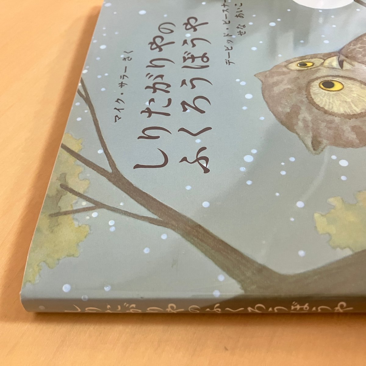 しりたがりやのふくろうぼうや | まなみ古書店