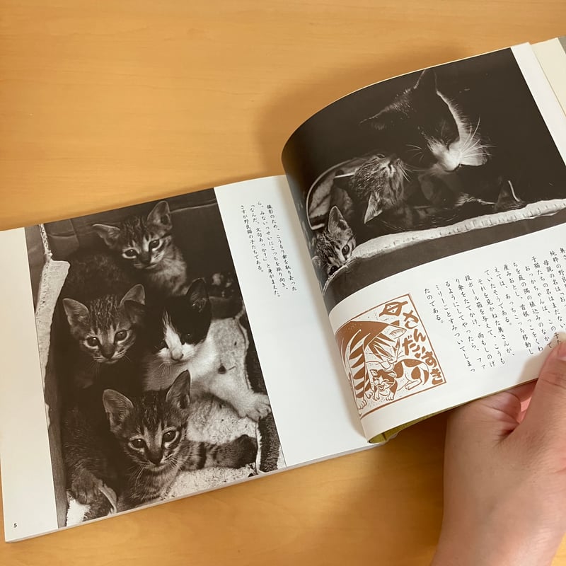 ねこ横丁の仲間たち | まなみ古書店