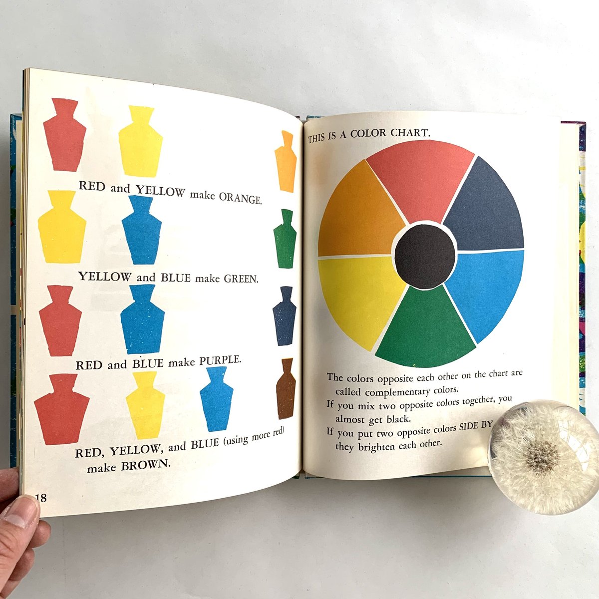 Let's Find Out About COLOR | まなみ古書店