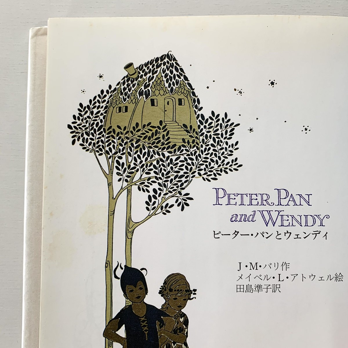 SALE！No.193 アンティーク　古書 洋書 絵本 ピーター・パン 幻の絵本館 ピーター・パンとウェンディ | まなみ古書店