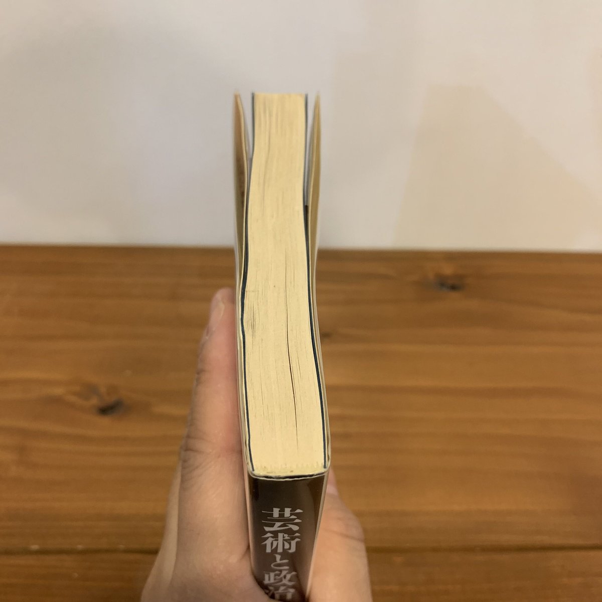 芸術と政治をめぐる対話 | まなみ古書店