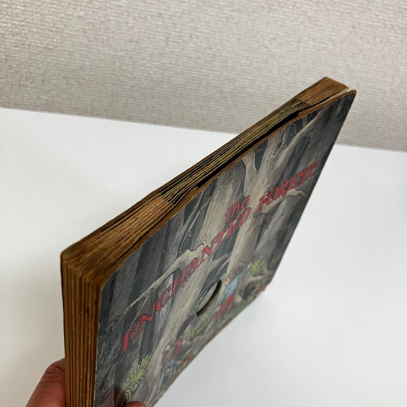 のぞき穴しかけ絵本 the ENCHANTED FOREST （魔法の森） | まなみ古書店