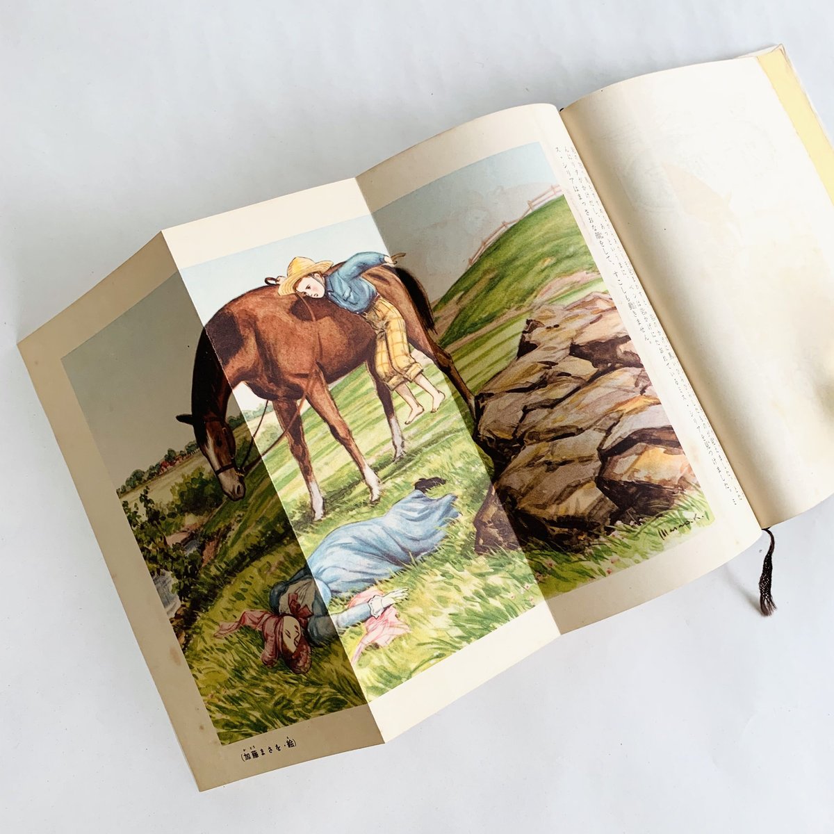 講談社版 世界名作全集(100)ライラック咲く家 | まなみ古書店