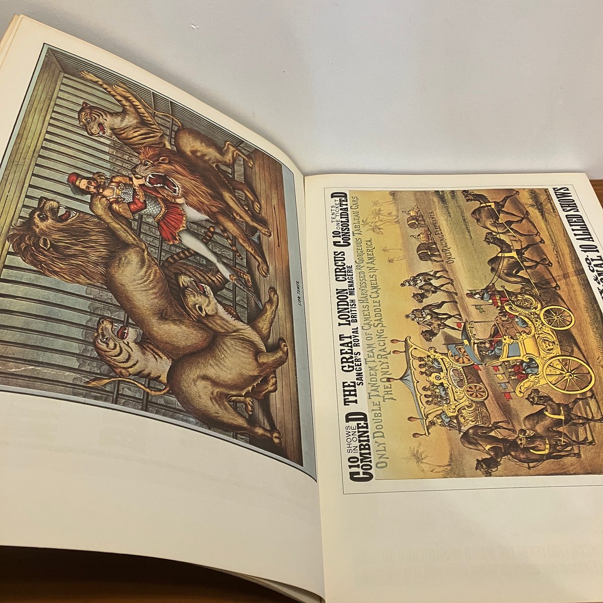アート・デザイン・音楽 100 YEARS OF CIRCUS POSTERS 100 YEARS OF CIRCUS POSTERS | まなみ古書店
