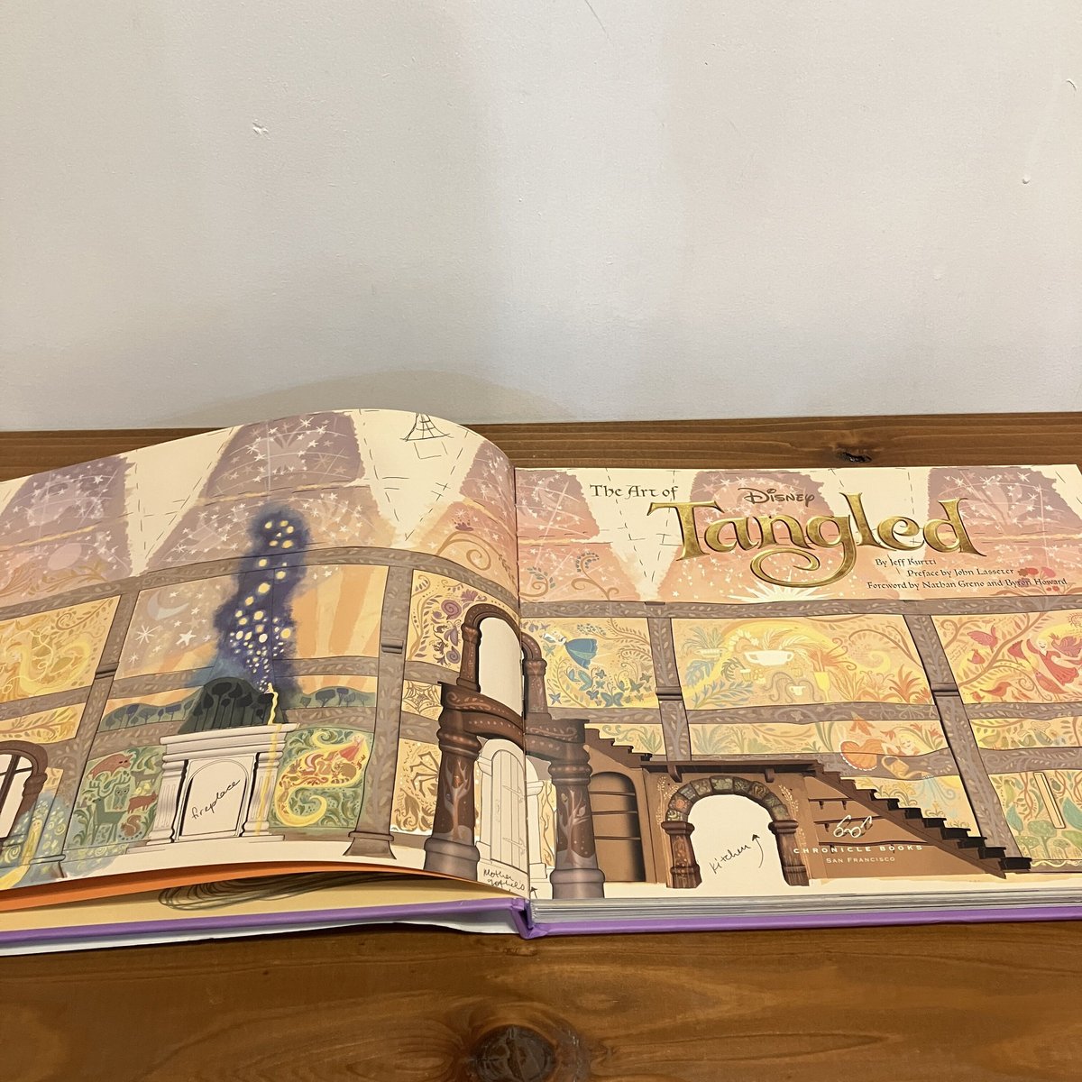 THE ART OF Tangled | まなみ古書店