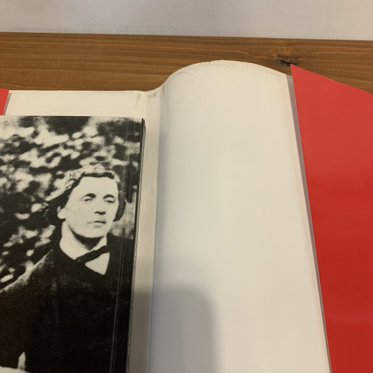 ヴィクトリア朝のアリスたち ルイス・キャロル写真集 | まなみ古書店