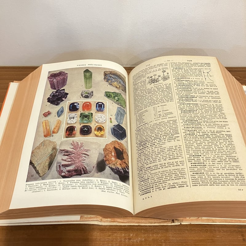 NOUVEAU PETIT LAROUSSE ILLUSTRÉ (仏ラルース図解小辞典) | NOUVEAU PETIT LAROUSSE ILLUSTRÉ (仏ラルース図解小辞典) |