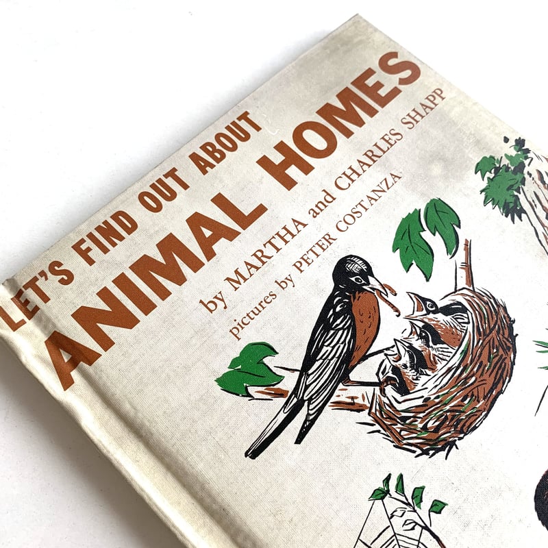 Let's Find Out About ANIMAL HOMES | まなみ古書店
