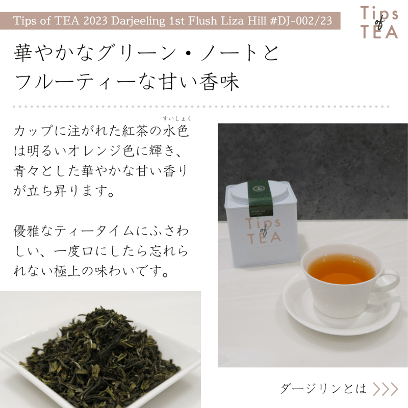 Tips of TEA クオリティーシーズンティー 2023 ダージリン Tips of TEA クオリティーシーズンティー 2023 ダージリン